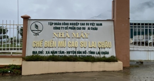 Lai Châu: Nhiều thông số môi trường tại nhà máy cao su vượt quá quy chuẩn cho phép