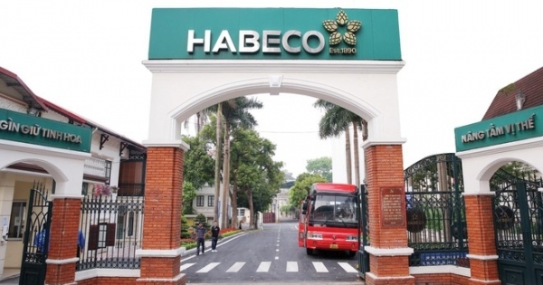 Năm 2023, lợi nhuận của Habeco lao dốc gần 30%