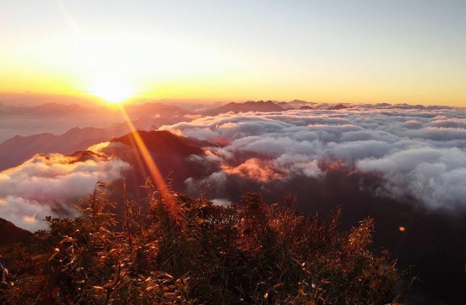 M&acirc;y tr&ecirc;n đỉnh Fansipan.