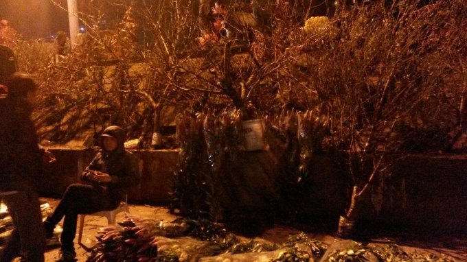 Đ&agrave;o l&agrave; lo&agrave;i hoa kh&ocirc;ng thể thiếu tại chợ hoa Quảng An dịp gi&aacute;p tết.