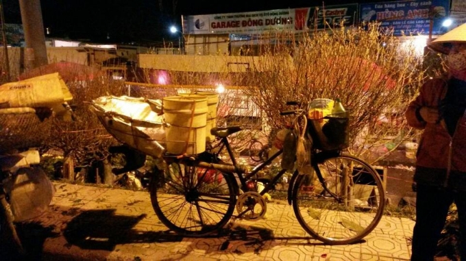 Chợ hoa Quảng An đ&atilde; trở th&agrave;nh một n&eacute;t văn h&oacute;a của người H&agrave; Nội.