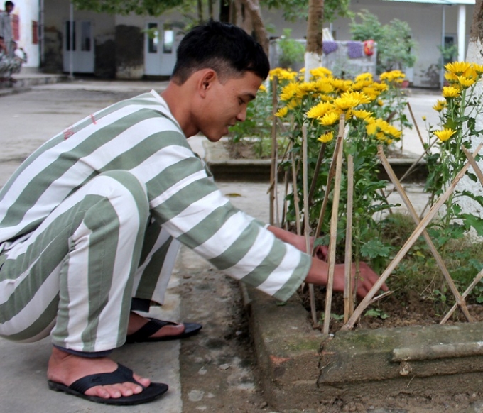 Chăm ch&uacute;t cho từng kh&oacute;m hoa để đ&oacute;n Tết.