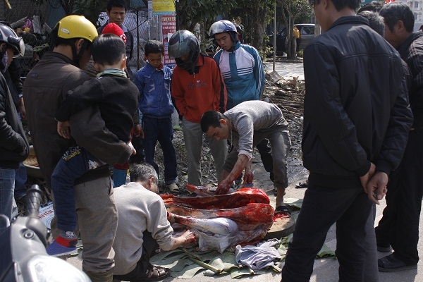 Theo chủ nh&acirc;n của con đ&agrave; điểu n&agrave;y cho biết, đ&ocirc;i ch&acirc;n n&agrave;y kh&aacute;ch đặt ri&ecirc;ng để về ng&acirc;m rượu. Sau khoảng hơn một tiếng đ&ograve;ng hồ mang ra mổ v&agrave; b&aacute;n, con đ&agrave; diểu nặng khoảng 90 kg n&agrave;y đ&atilde; được kh&aacute;ch ti&ecirc;u thụ hết.