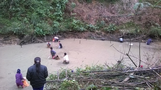 Người d&acirc;n x&atilde; Xu&acirc;n Lộc, huyện Thường Xu&acirc;n lội ao bắt c&aacute; chuẩn bị cho m&acirc;m cỗ đ&ecirc;m giao thừa.