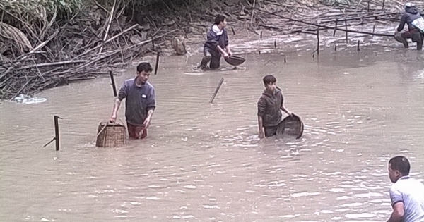 Chùm ảnh: Ngâm mình dưới nước để mưu sinh đón cái Tết no ấm