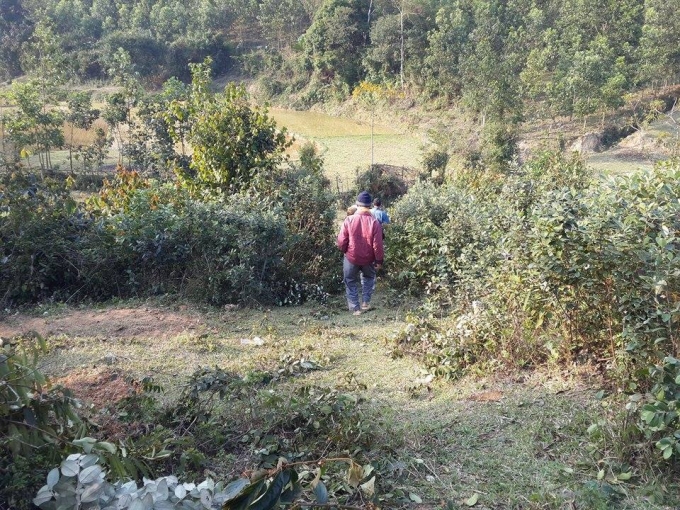 Người d&acirc;n thắp hương từ mộ tổ ti&ecirc;n đến về nh&agrave;.