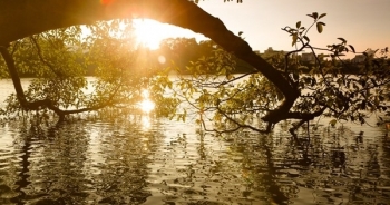 Dự báo thời tiết ngày 9/2 (mồng 2 tết): Miền Bắc có nắng nhẹ