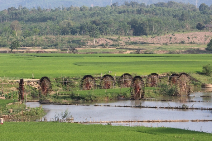 Ruộng đồng ở Chi&ecirc;ng Ngam thuộc Huyện Quỳ Ch&acirc;u - Nghệ An. (ảnh: Minh Long).