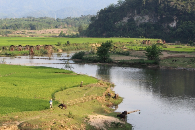 C&aacute;c guồng ở ruộng đồng Chi&ecirc;ng Ngam thuộc trời t&acirc;y Xứ Nghệ. (ảnh: Minh Long).