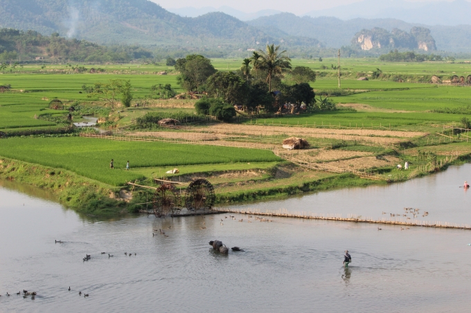 Đồng ruộng xanh mướt ở Chi&ecirc;ng Ngam (ảnh: Minh Long).