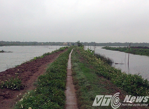 Con đường n&agrave;y mới c&aacute;ch đ&acirc;y cỏ dại c&ograve;n mọc um t&ugrave;m, giờ đ&atilde; được cải tạo, d&acirc;ng lập, xe &ocirc; t&ocirc; chạy xuống tận đầm - Ảnh MK