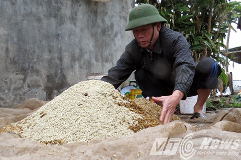 &Ocirc;ng Vươn đang trộn hỗn hợp thức ăn cho vịt biển sạch - Ảnh MK