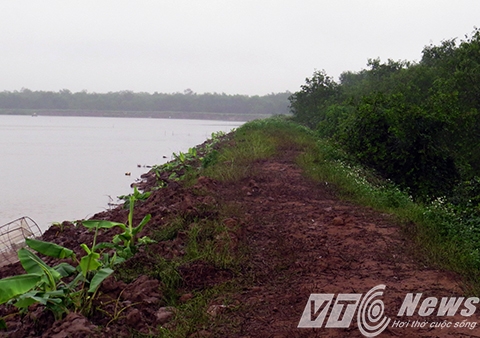 Bờ đầm lau sậy, cỏ dại mọc um t&ugrave;m cao ngất đầu người ng&agrave;y n&agrave;o giờ đ&atilde; được cải tạo, chuẩn bị sau dịp sau Tết Nguy&ecirc;n đ&aacute;n gia đ&igrave;nh &ocirc;ng sẽ trồng xả đồng loạt, lấy nguy&ecirc;n liệu chưng cất dầu xả ngay tại khu đầm n&agrave;y - Ảnh MK