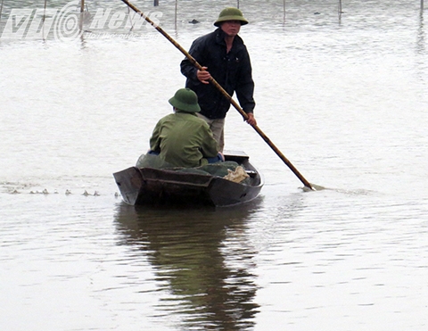 &Ocirc;ng Đo&agrave;n Văn Qu&yacute; (em &ocirc;ng Vươn) cho vịt ăn về - Ảnh MK