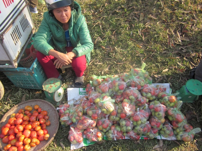 C&agrave; chua được bỏ sẵn trong từng t&uacute;i để b&aacute;n cho mọi người n&eacute;m nhau.