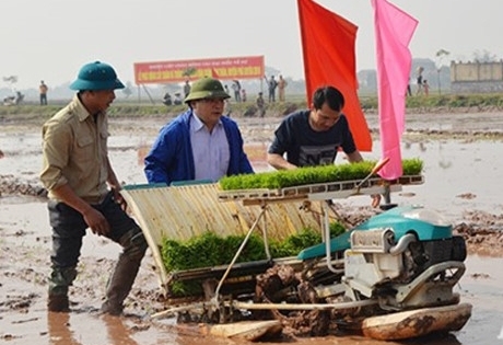 Tân Bí thư Hà Nội lội bùn cấy lúa xuân cùng nông dân