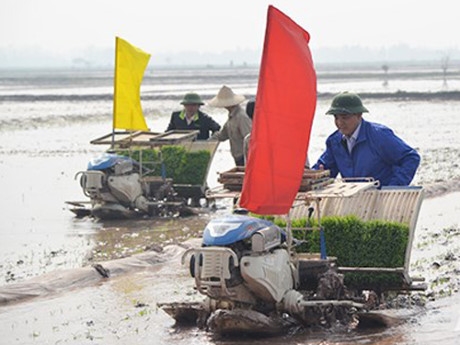Chủ tịch UBND TP H&agrave; Nội Nguyễn Đức Chung c&ugrave;ng cấy l&uacute;a xu&acirc;n với n&ocirc;ng d&acirc;n.