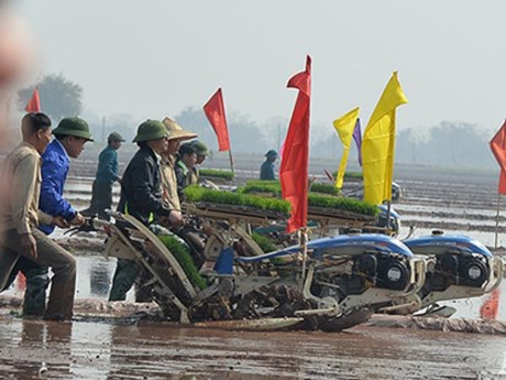 L&atilde;nh đạo H&agrave; Nội v&agrave; b&agrave; con n&ocirc;ng d&acirc;n ngoại th&agrave;nh c&ugrave;ng xuống đồng sau Tết nguy&ecirc;n đ&aacute;n.