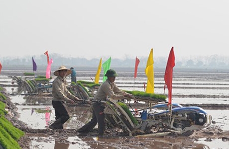 T&acirc;n B&iacute; thư Ho&agrave;ng Trung Hải mong muốn H&agrave; Nội dẫn đầu cả nước về ứng dụng khoa học kỹ thuật v&agrave;o sản xuất n&ocirc;ng nghiệp.