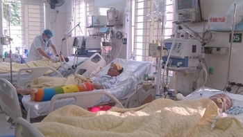 Tết 2016: Bệnh nhân nhập viện do nhiễm hóa chất, thuốc diệt chuột,… gia tăng