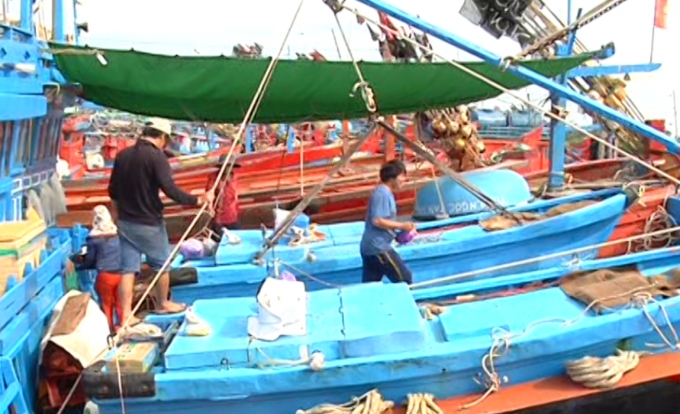 Ngư d&acirc;n Quảng Ng&atilde;i hối hả chuẩn bị phương tiện.