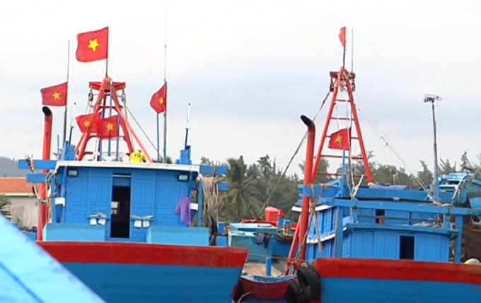 Quảng Ng&atilde;i: Kh&aacute;t vọng bội thu, ngư d&acirc;n hối hả ra biển