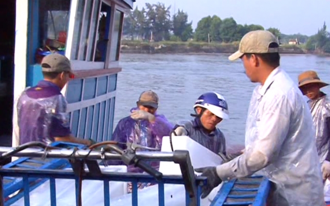 Chuẩn bị ra khơi.