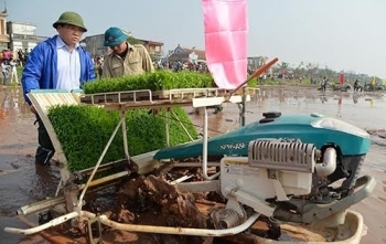 Bí thư lội ruộng