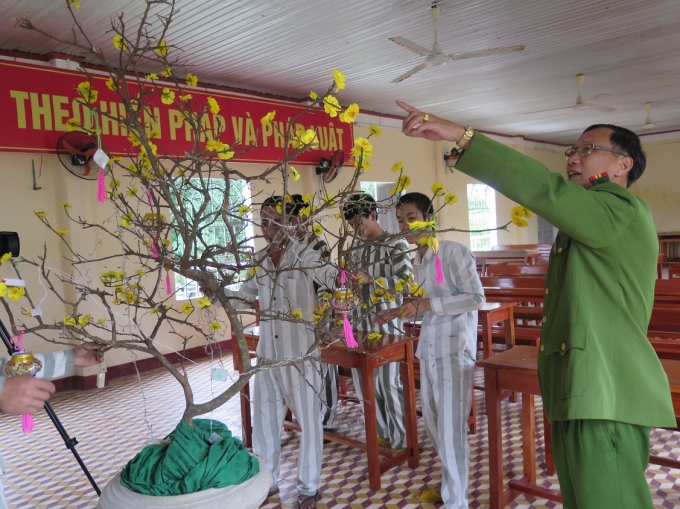 Thượng t&aacute; V&otilde; Văn Nghệ, Ph&oacute; Gi&aacute;m thị, hướng dẫn phạm nh&acirc;n&nbsp;trang tr&iacute; hoa mai&nbsp;(ảnh Phương Nam).