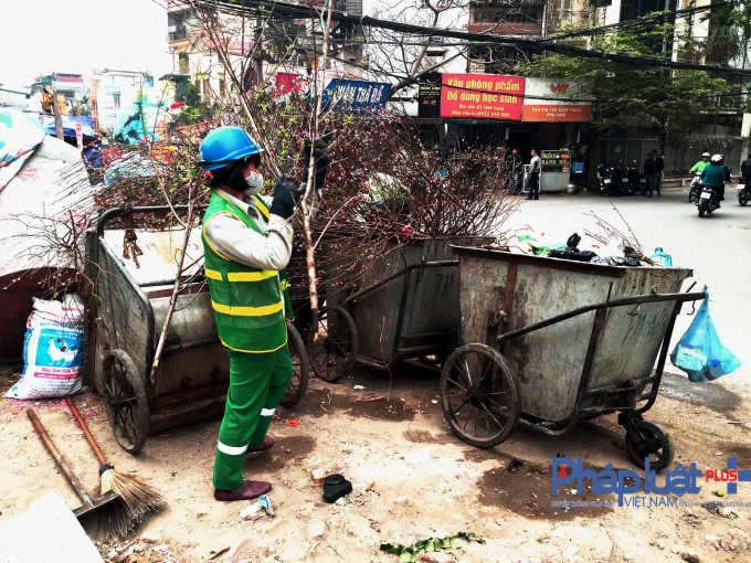 Năm n&agrave;o cũng vậy, sau Tết, h&agrave;ng ngh&igrave;n c&agrave;nh đ&agrave;o t&agrave;n lại bị vứt đầy ra đường.