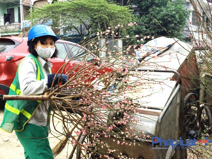 Sau Tết,