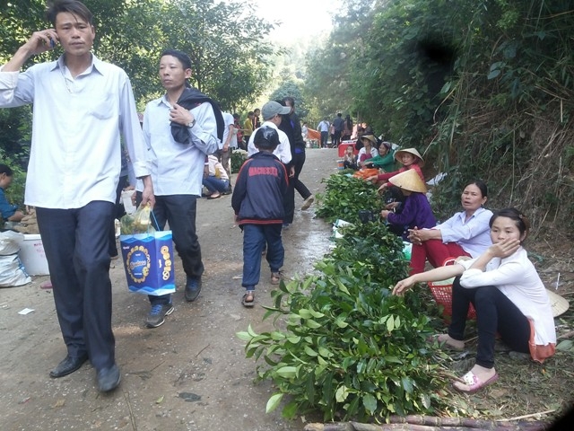 Du kh&aacute;ch đến nơi đ&acirc;y ngo&agrave;i du xu&acirc;n thưởng ngoạn, c&ograve;n c&oacute; thể lựa chọn c&aacute;c đặc sản như l&aacute; lồm để nấu canh, củ m&agrave;i, củ sắn d&acirc;y, măng rừng, ch&egrave; x&aacute;nh đặc biệt của n&uacute;i Nưa...do cư d&acirc;n bản địa trực tiếp b&aacute;n. (Ảnh: A.Thắng)