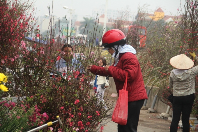 Người d&acirc;n H&agrave; Nội thường lựa chọn hoa đ&agrave;o để thờ gia ti&ecirc;n cho ng&agrave;y rằm th&aacute;ng Gi&ecirc;ng.