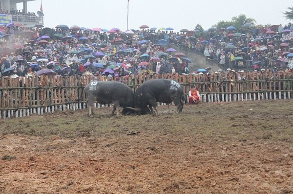 &nbsp;Vừa v&agrave;o s&acirc;n, những