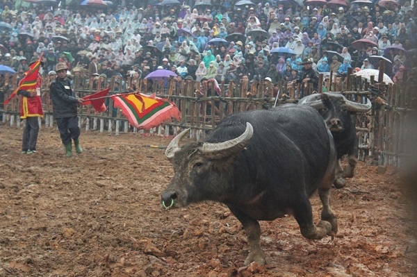 &nbsp;Sau m&agrave;n thi đấu nảy lửa giữa hai b&ecirc;n, một trong hai &ldquo;&ocirc;ng cầu&rdquo; đ&atilde; bỏ chạy.