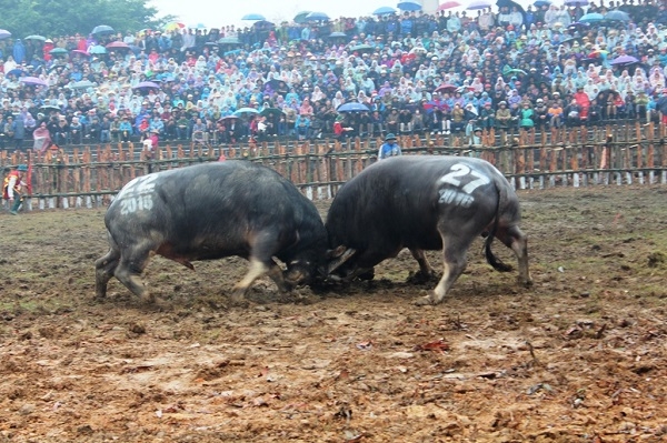 &nbsp;&nbsp;M&agrave;n thi đấu giữa hai &ldquo;&ocirc;ng cầu&rdquo; mang số 22 v&agrave; 27 tung ra những đo&agrave;n cước kh&ocirc;ng khoan nhượng.