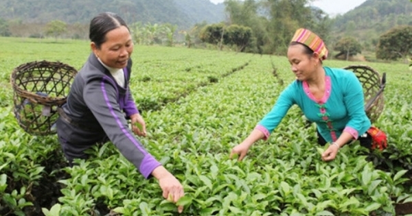 Tăng mức cho vay hộ gia đình vùng khó khăn tối đa 50 triệu đồng