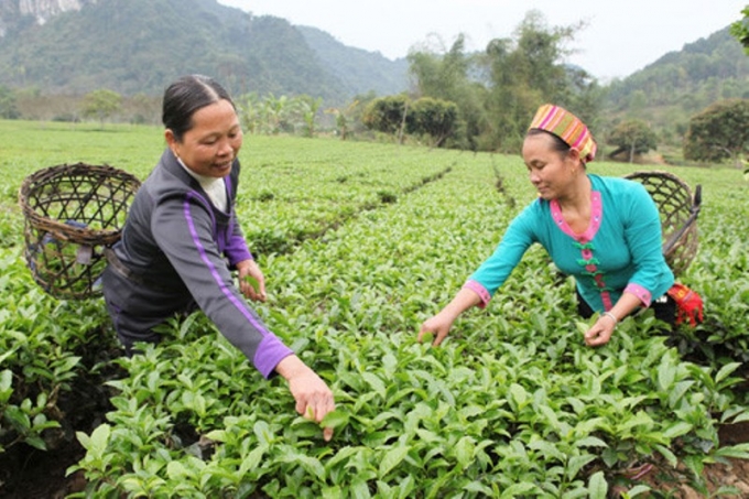 Nhờ tăng nguồn vốn vay sẽ l&agrave; điều kiện tốt gi&uacute;p những hộ gia đ&igrave;nh sản xuất tại v&ugrave;ng kh&oacute; khăn vươn l&ecirc;n tho&aacute;t ngh&egrave;o.