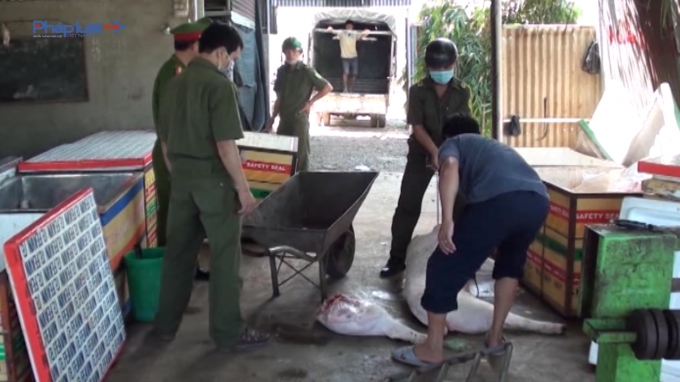 Lực lượng chức năng kiểm tra, ph&aacute;t hiện tang vật thịt heo thối tại cơ sở giết mổ.
