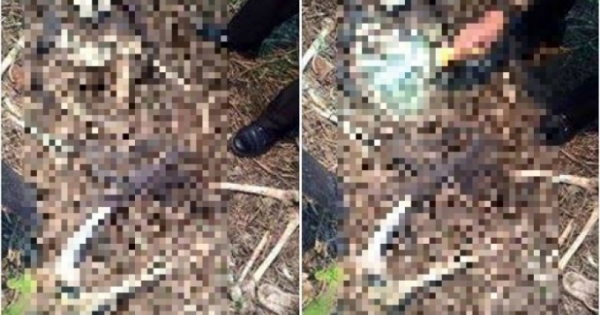 Bắc Ninh: Kinh hoàng phát hiện thi thể trơ xương trong bụi rậm