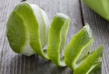 Mẹo tránh say tàu xe sau Tết Nguyên đán