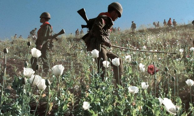 Myanmar l&agrave; một trong những nước sản xuất ma t&uacute;y lớn nhất thế giới. (Ảnh: AP).