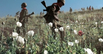 Bắt giữ nhà sư tàng trữ hơn 4 triệu viên ma túy đá tại chùa