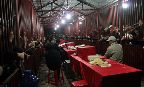 Nh&igrave;n lại Lễ khai ấn Đền Trần Nam Định từ năm 2010 đến nay qua c&aacute;c con số