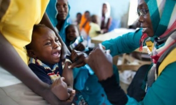 Chao đảo với dịch sốt vàng da