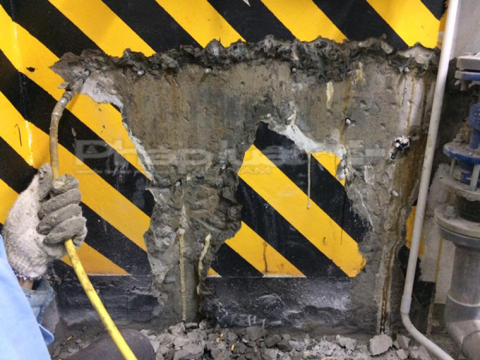 Dự &aacute;n Tr&agrave;ng An Complex: Chuột quậy ph&aacute; từ đ&ecirc;m đến s&aacute;ng, bể phốt bốc m&ugrave;i h&ocirc;i thối