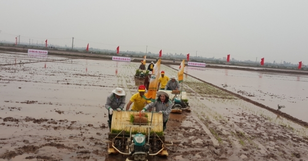 Bí thư Tỉnh ủy Ninh Bình xuống đồng cùng với nông dân trong ngày đầu năm