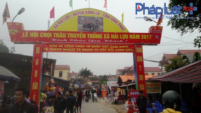 Lễ hội chọi tr&acirc;u Hải Lựu năm 2017