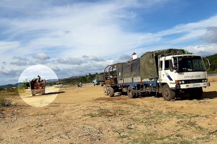 Kết quả vụ gỗ lậu áp sát thành phố Kon Tum