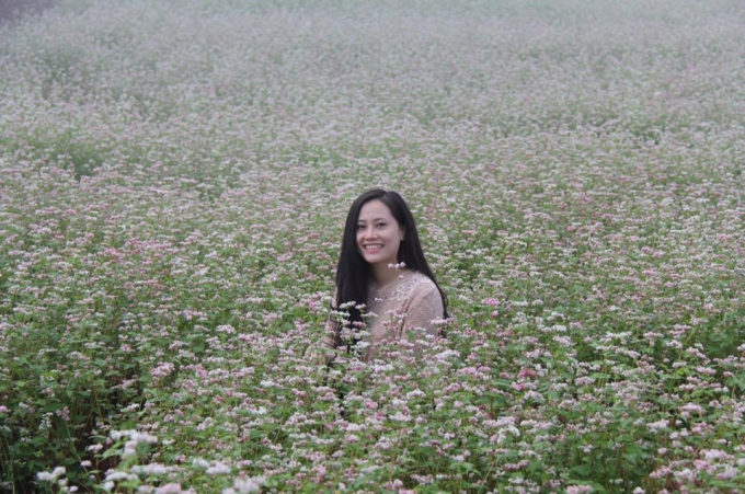 Những thung lũng hoa tam gi&aacute;c mạch khiến bao người say đắm.